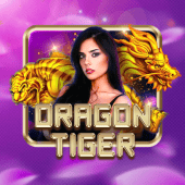 Dragon Tiger BingoTime live
