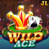 Wild Ace BingoTime slot